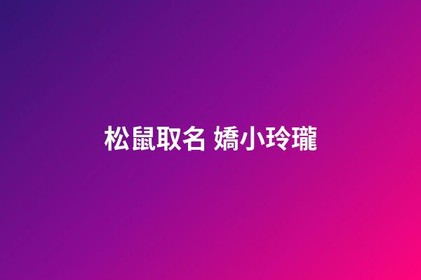 松鼠取名 嬌小玲瓏